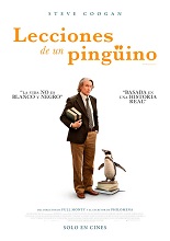 Lecciones De Un Pingüino